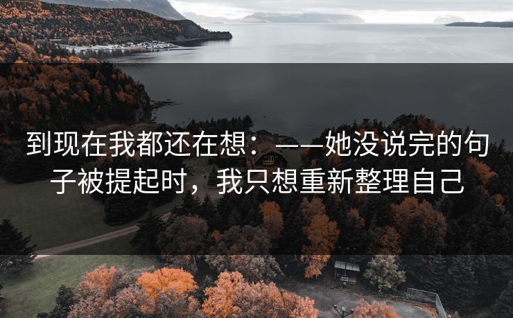 到现在我都还在想：——她没说完的句子被提起时，我只想重新整理自己