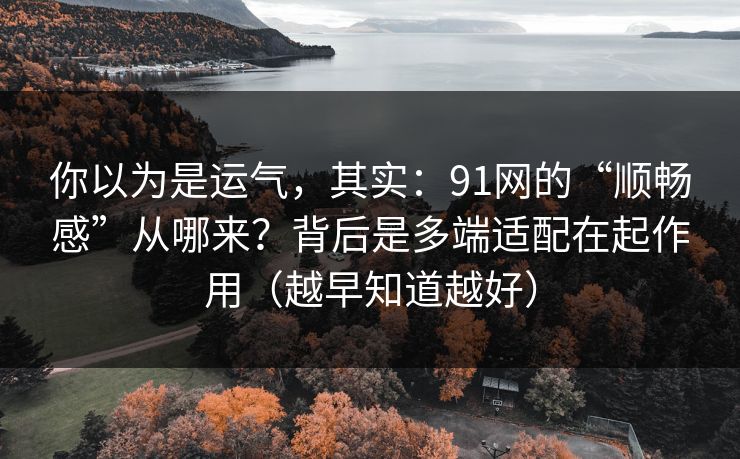 你以为是运气，其实：91网的“顺畅感”从哪来？背后是多端适配在起作用（越早知道越好）